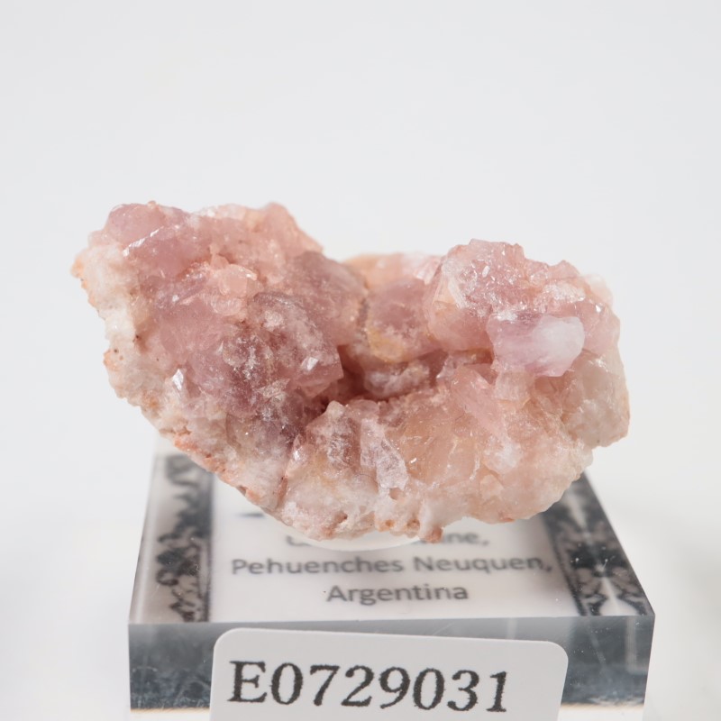 ���를����� �ԥ󥯥�������