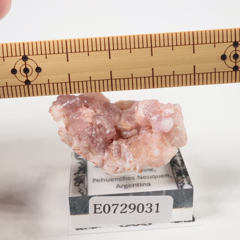 ���를����� �ԥ󥯥�������