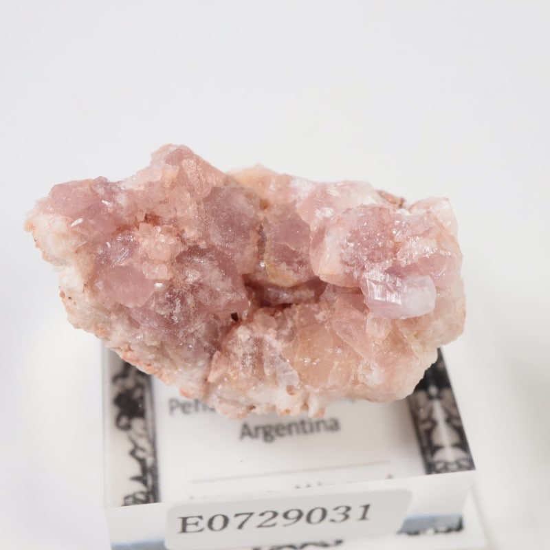 ���를����� �ԥ󥯥�������