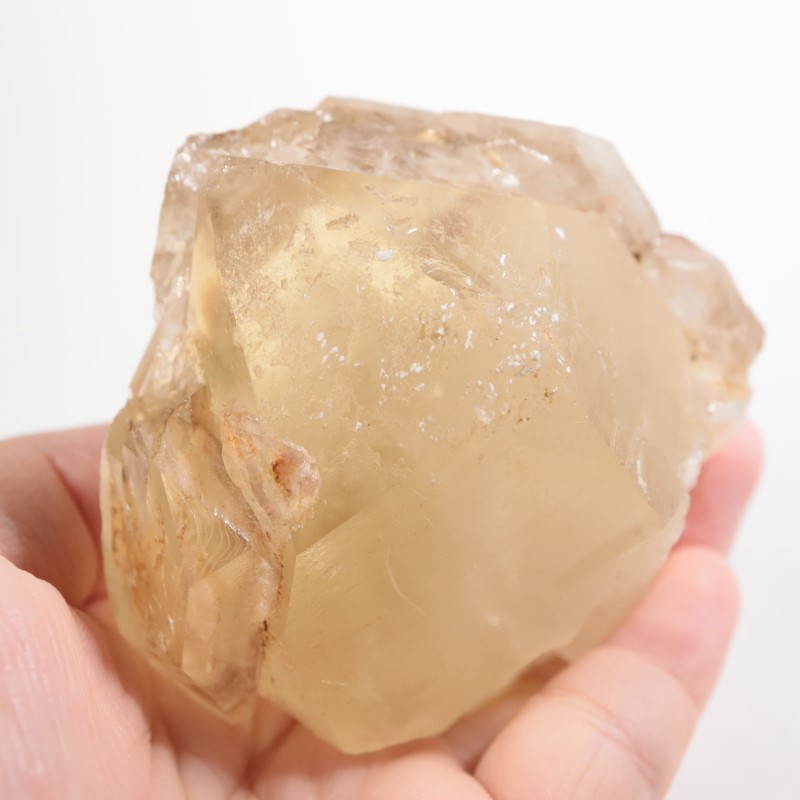 �֥饸�뻺 ���ȥ��