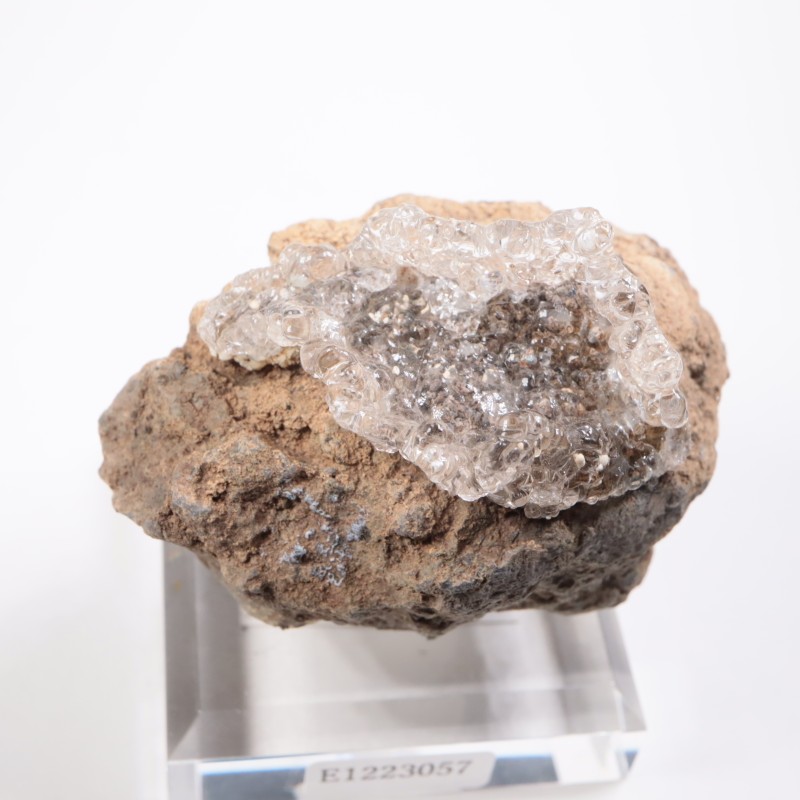 �������� �ϥ����饤��