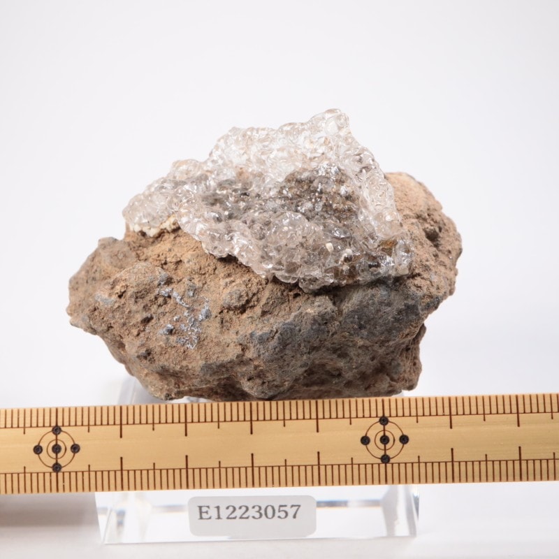 �������� �ϥ����饤��