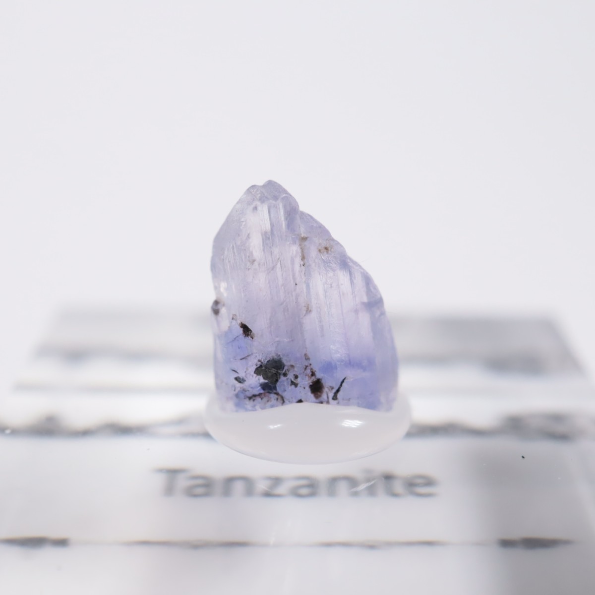 ����˥ҥ륺�� ���󥶥ʥ���