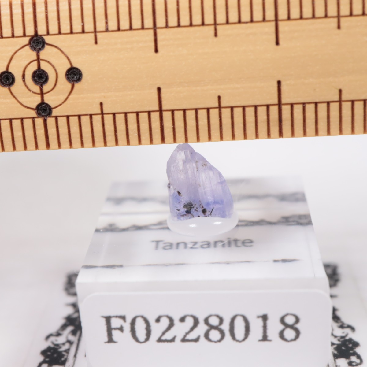 ����˥ҥ륺�� ���󥶥ʥ���