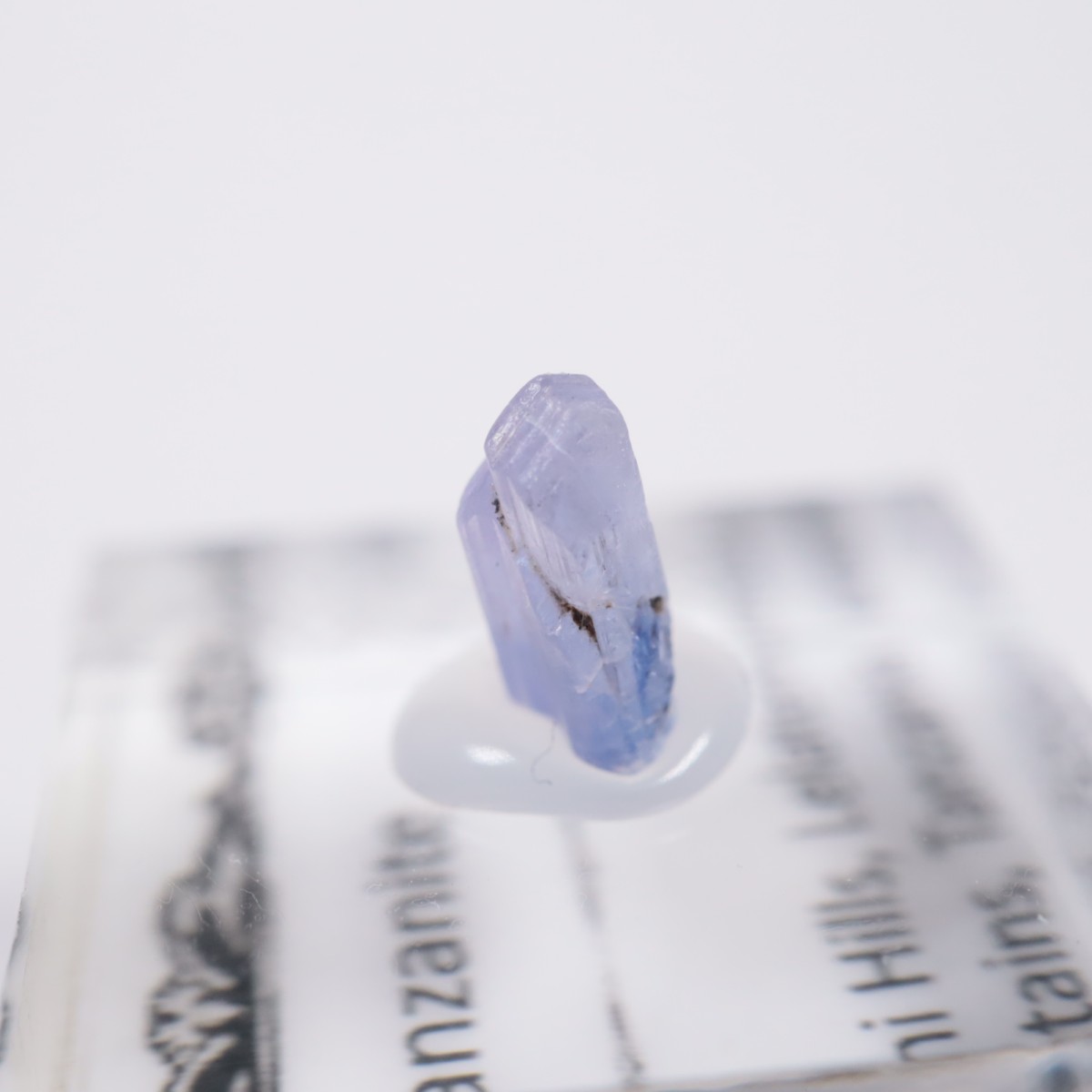 ����˥ҥ륺�� ���󥶥ʥ���