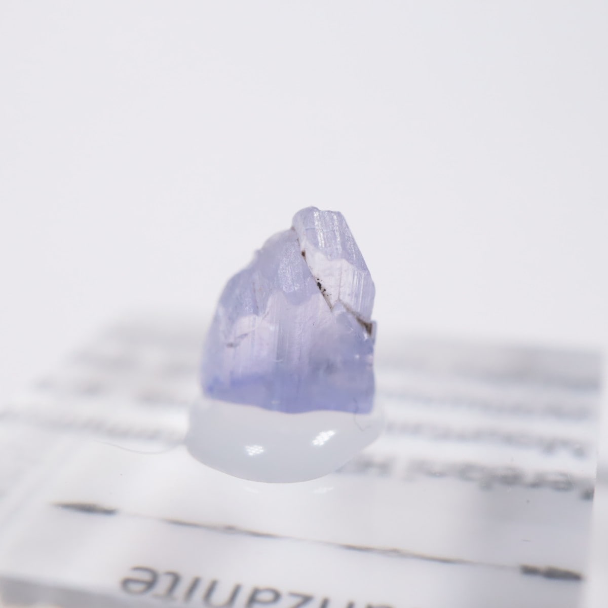 ����˥ҥ륺�� ���󥶥ʥ���