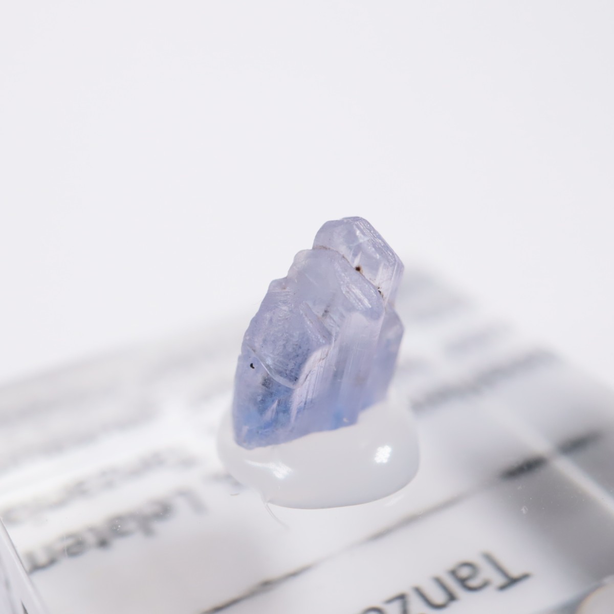 ����˥ҥ륺�� ���󥶥ʥ���