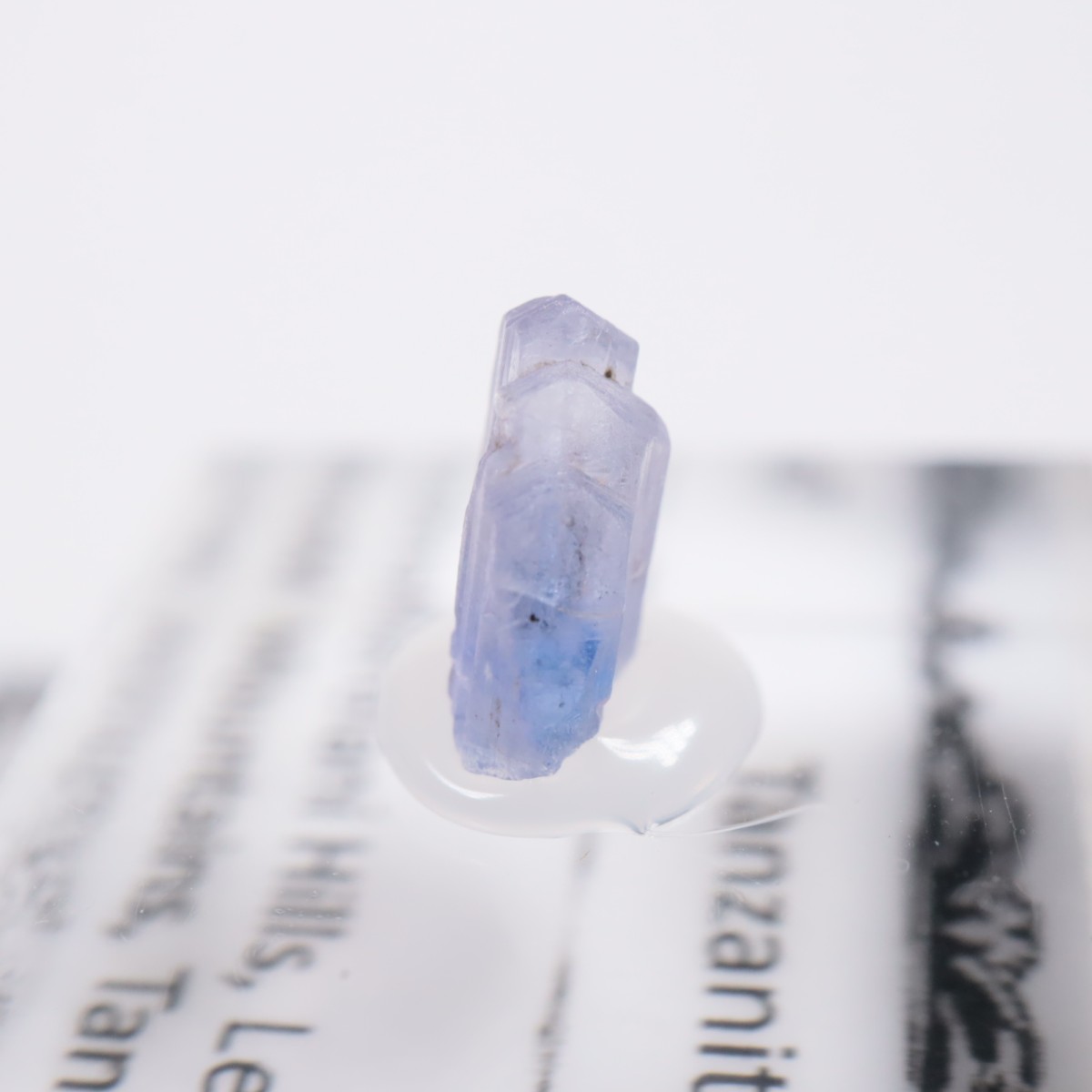 ����˥ҥ륺�� ���󥶥ʥ���