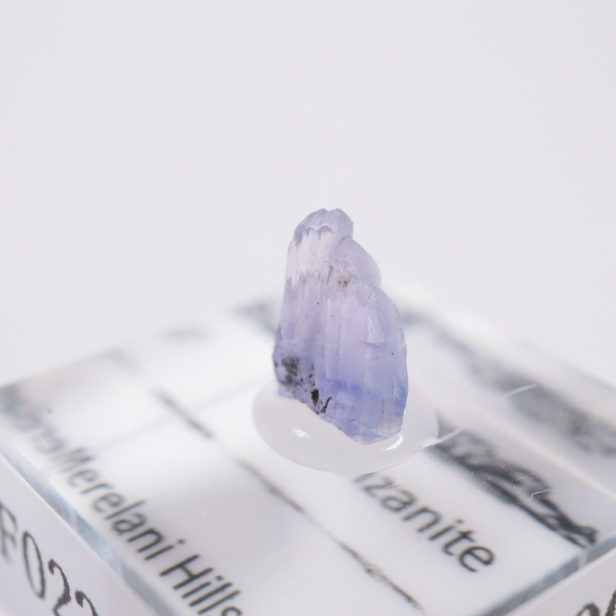 ����˥ҥ륺�� ���󥶥ʥ���