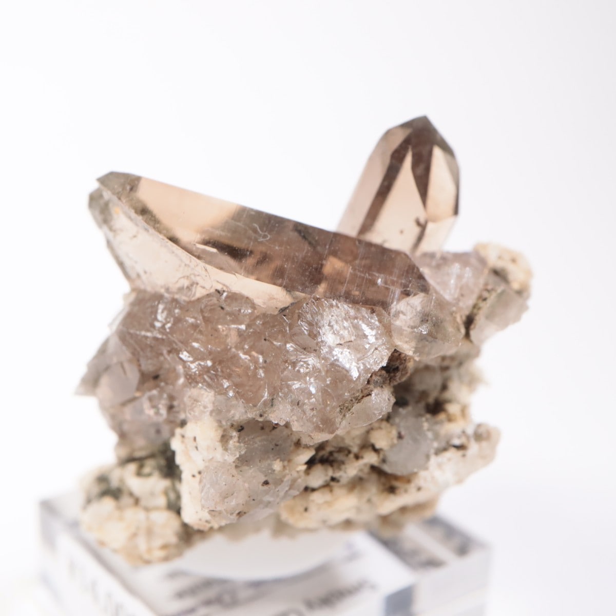 �ե�󥹻������⡼������������