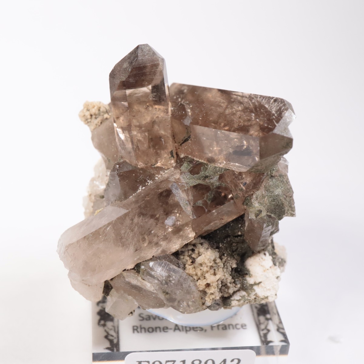 �ե�󥹻������⡼������������