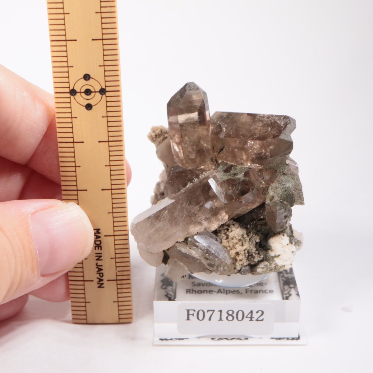 �ե�󥹻������⡼������������