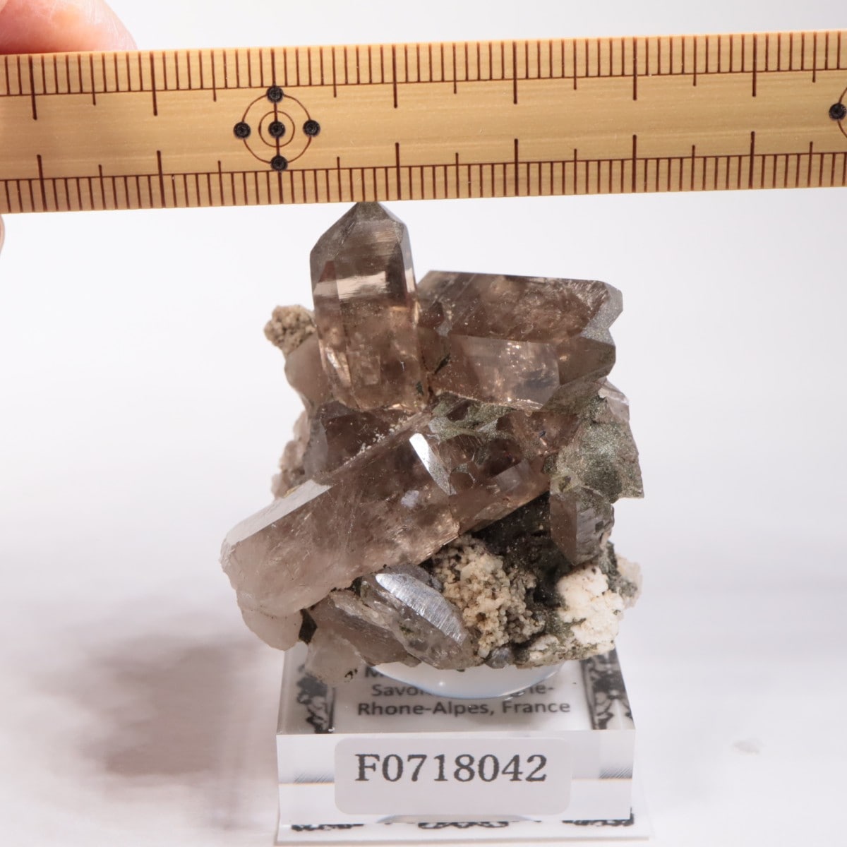 �ե�󥹻������⡼������������