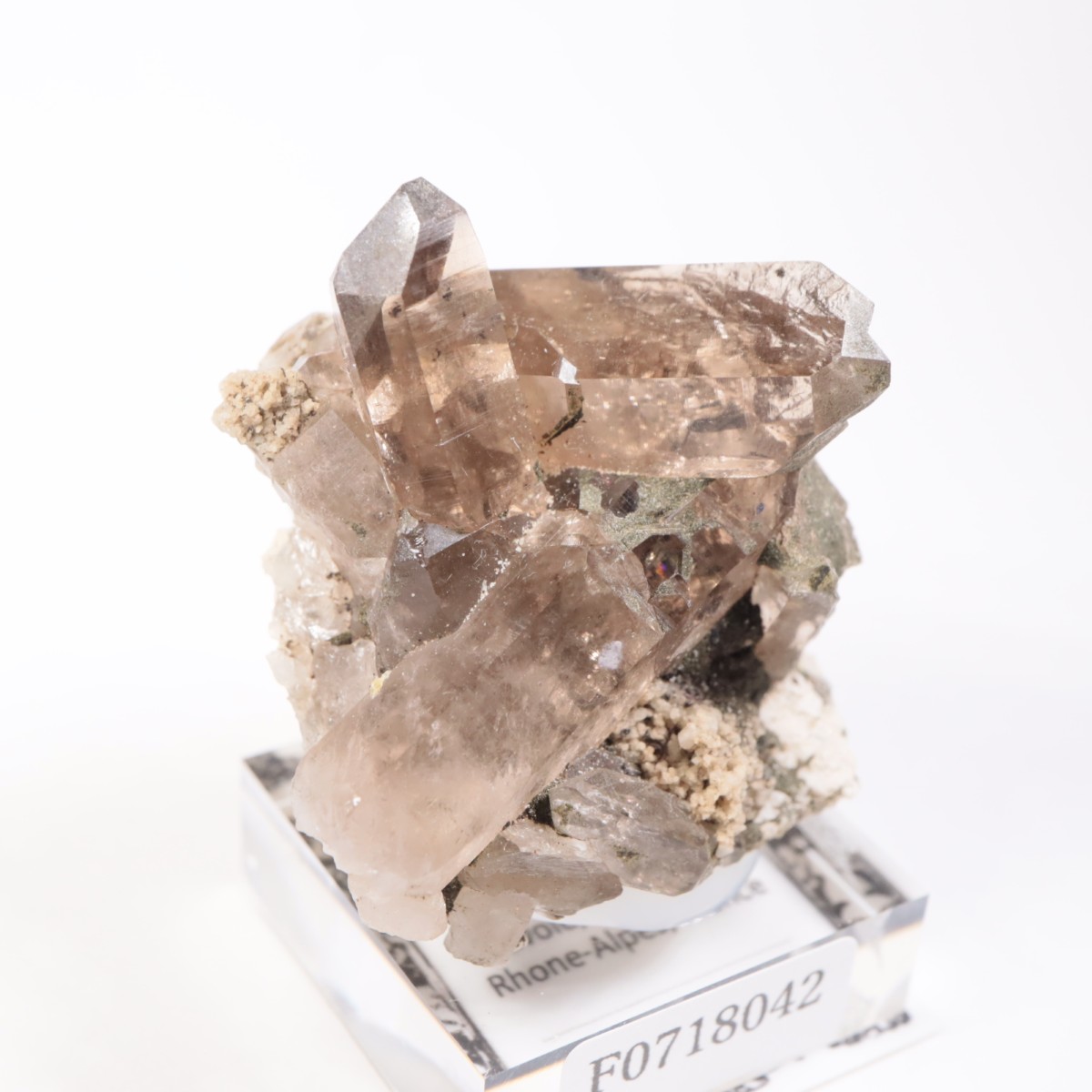 �ե�󥹻������⡼������������