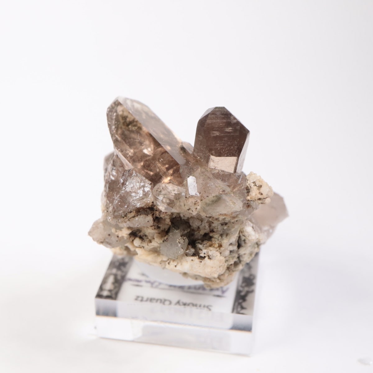 �ե�󥹻������⡼������������