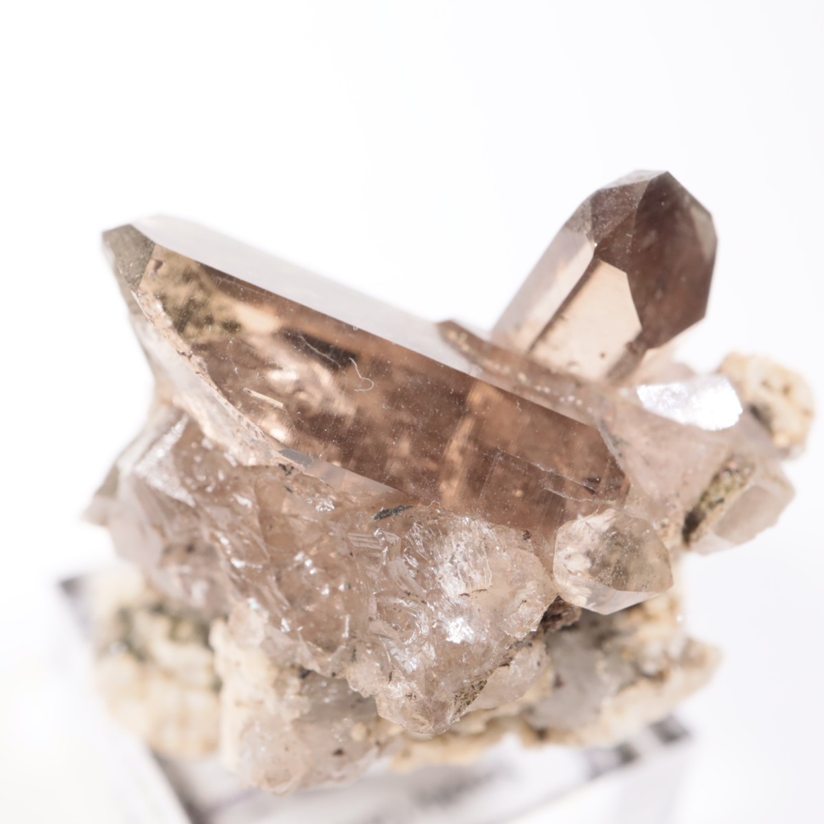 �ե�󥹻������⡼������������