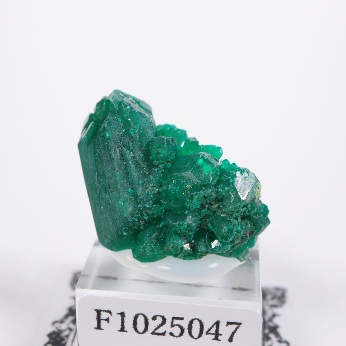 ���󥴻� �������ץơ���