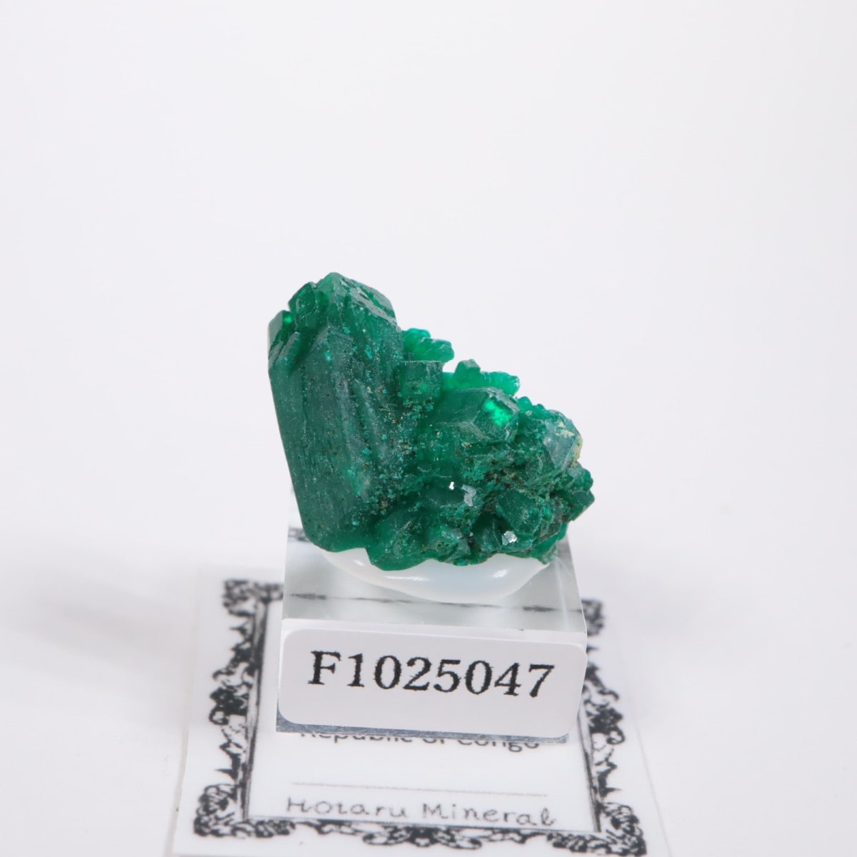 ���󥴻� �������ץơ���