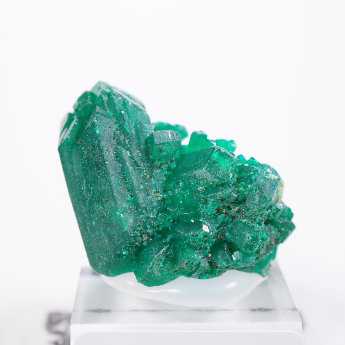 コンゴ産 ダイオプテーズ | 鉱物標本,タ行,ダイオプテーズ/翠銅鉱