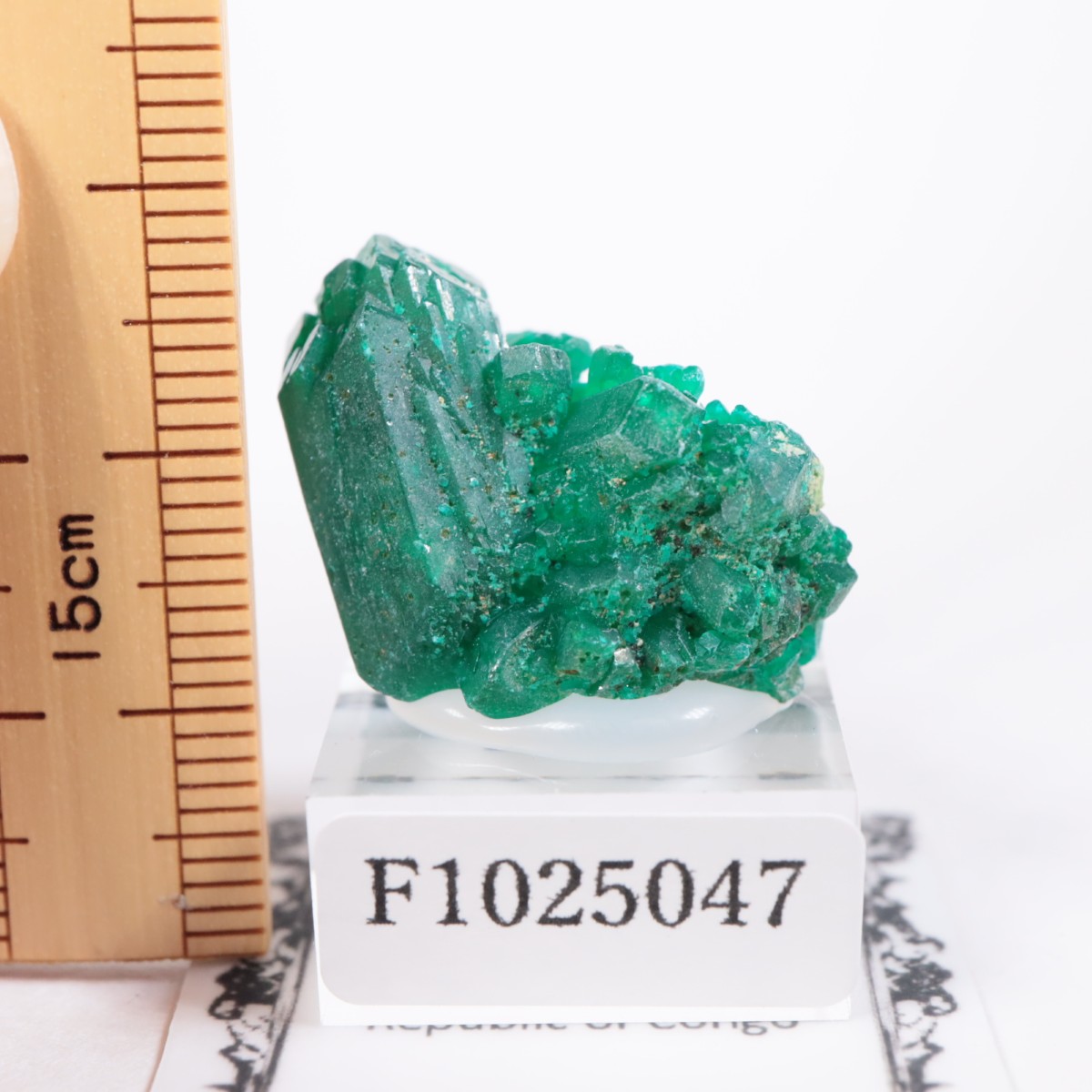 コンゴ産 ダイオプテーズ | 鉱物標本,タ行,ダイオプテーズ/翠銅鉱