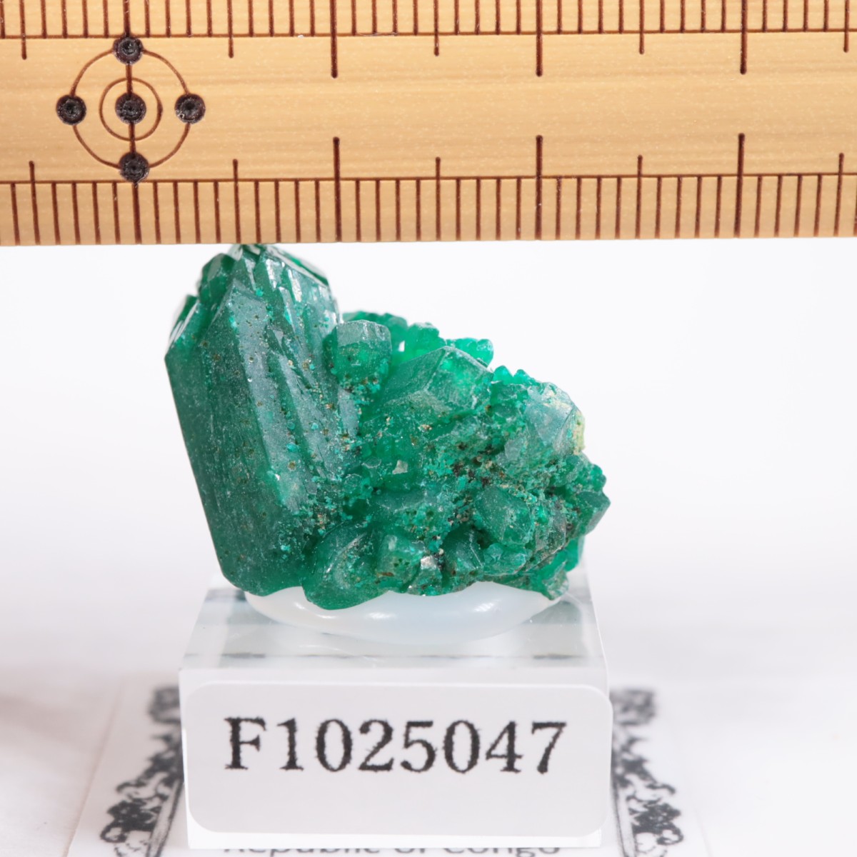 ���󥴻� �������ץơ���