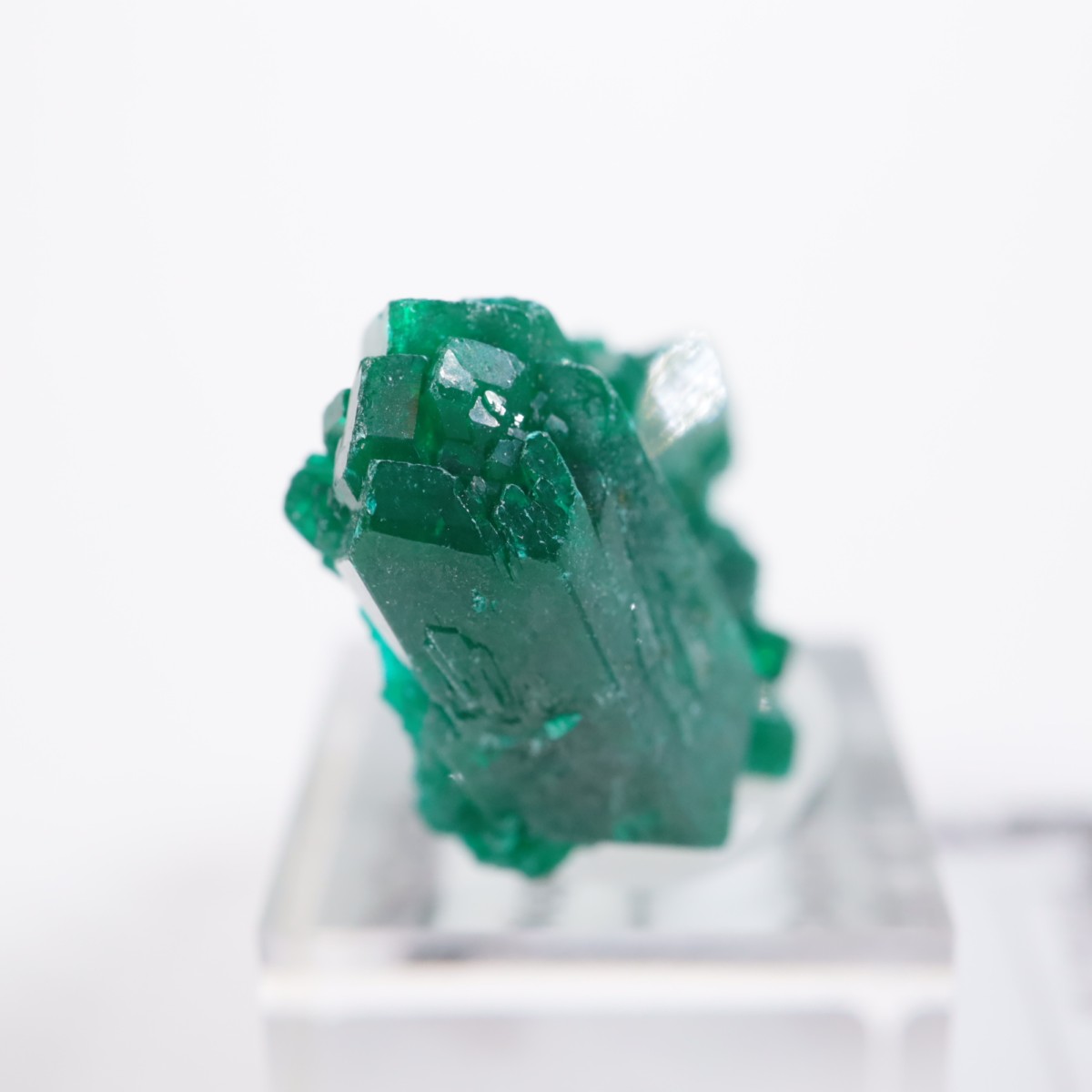 ���󥴻� �������ץơ���