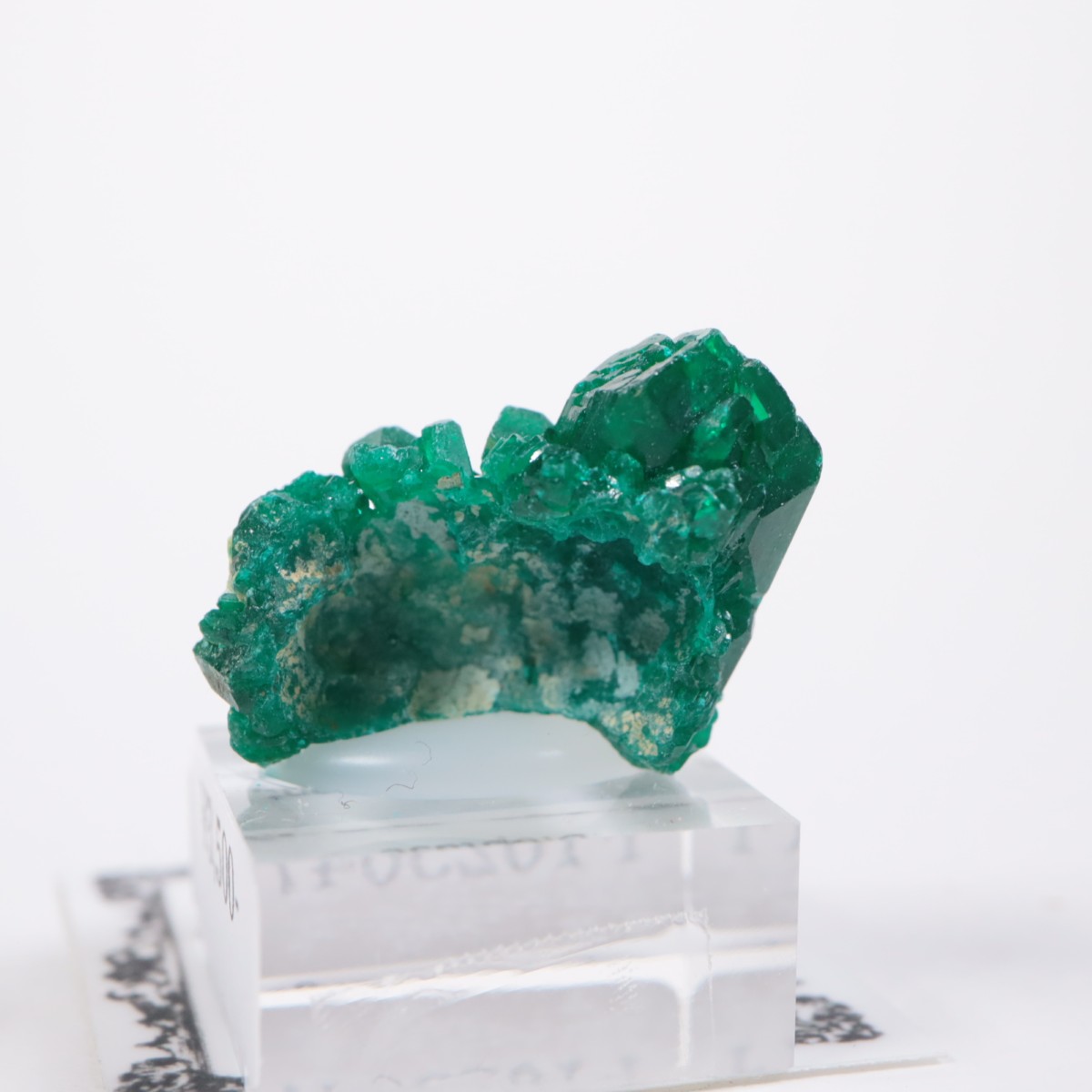 ���󥴻� �������ץơ���