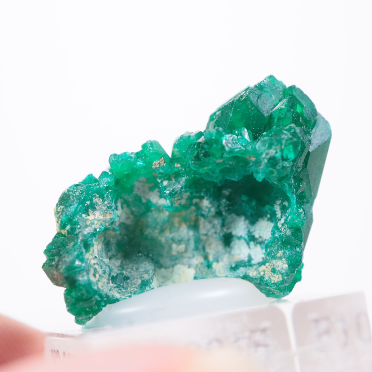 ���󥴻� �������ץơ���