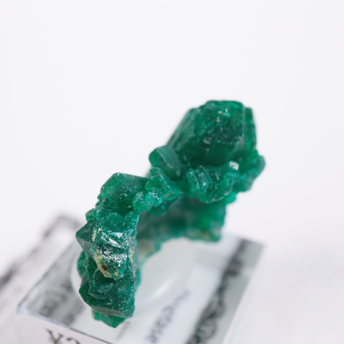 ���󥴻� �������ץơ���