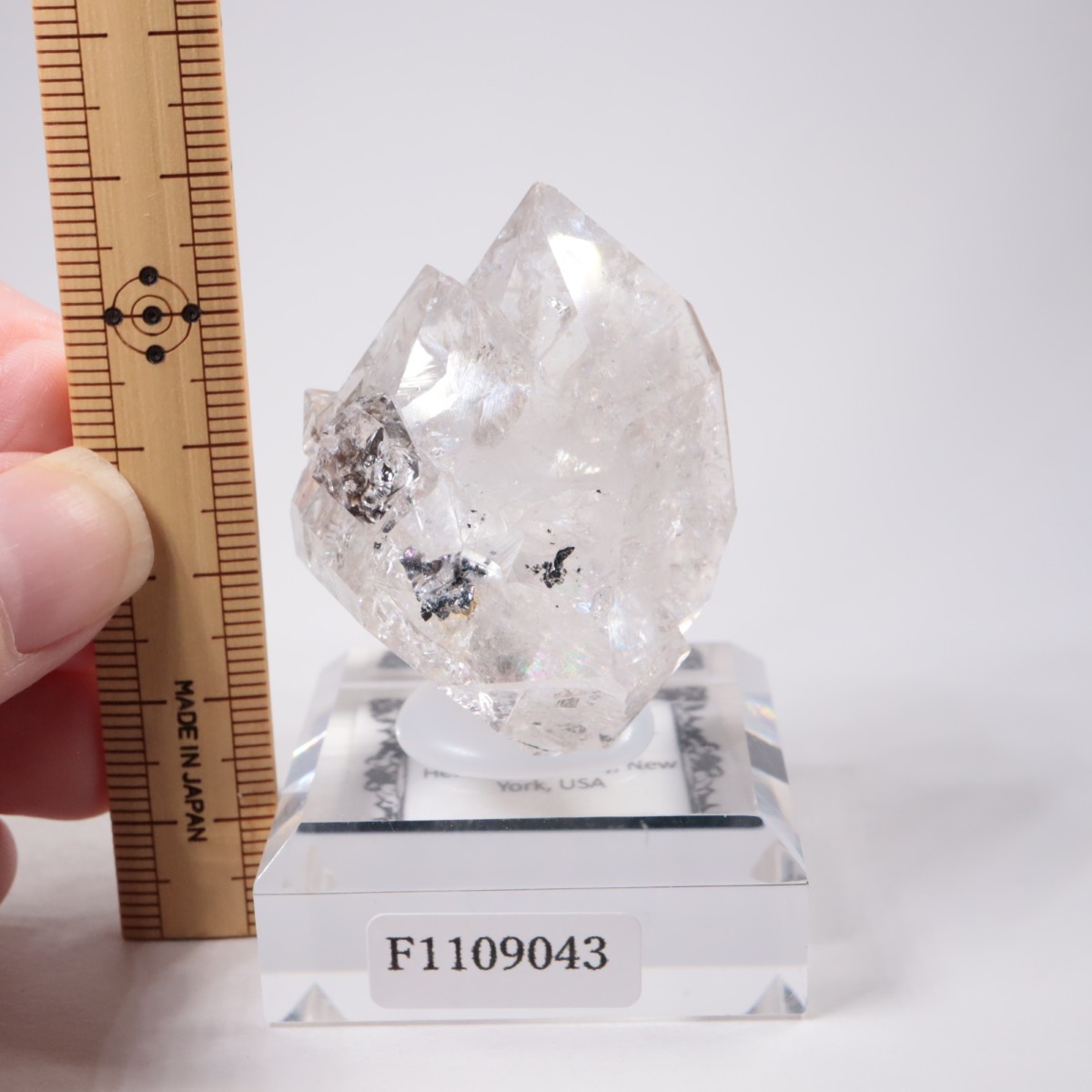 �ϡ����ޡ��� �ϡ����ޡ���������