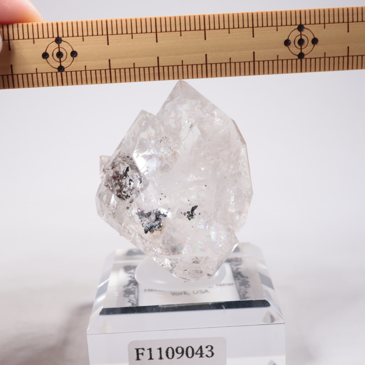 �ϡ����ޡ��� �ϡ����ޡ���������