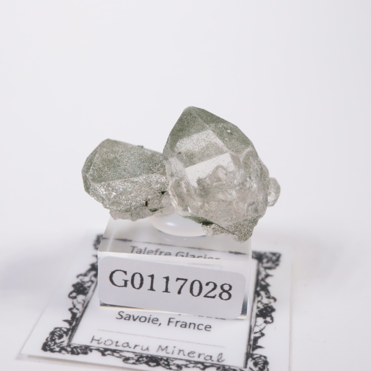 �ե�󥹻� ��������