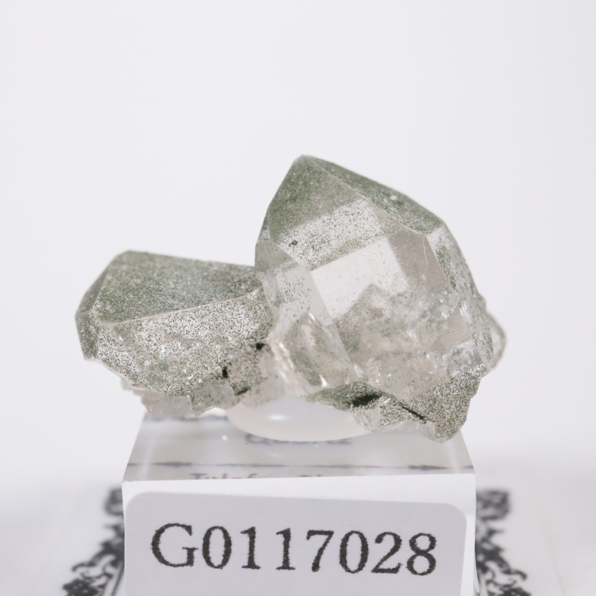 �ե�󥹻� ��������