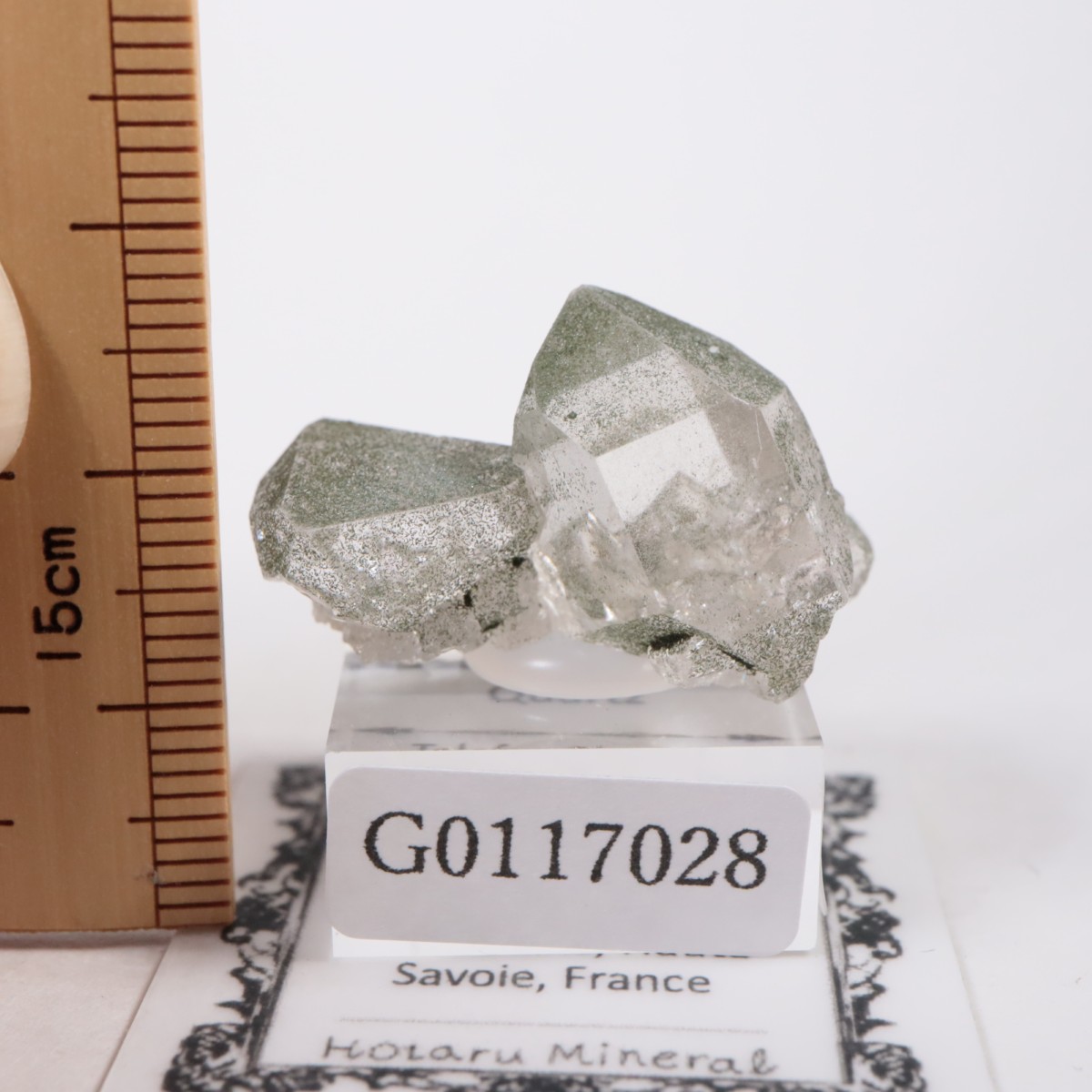 �ե�󥹻� ��������