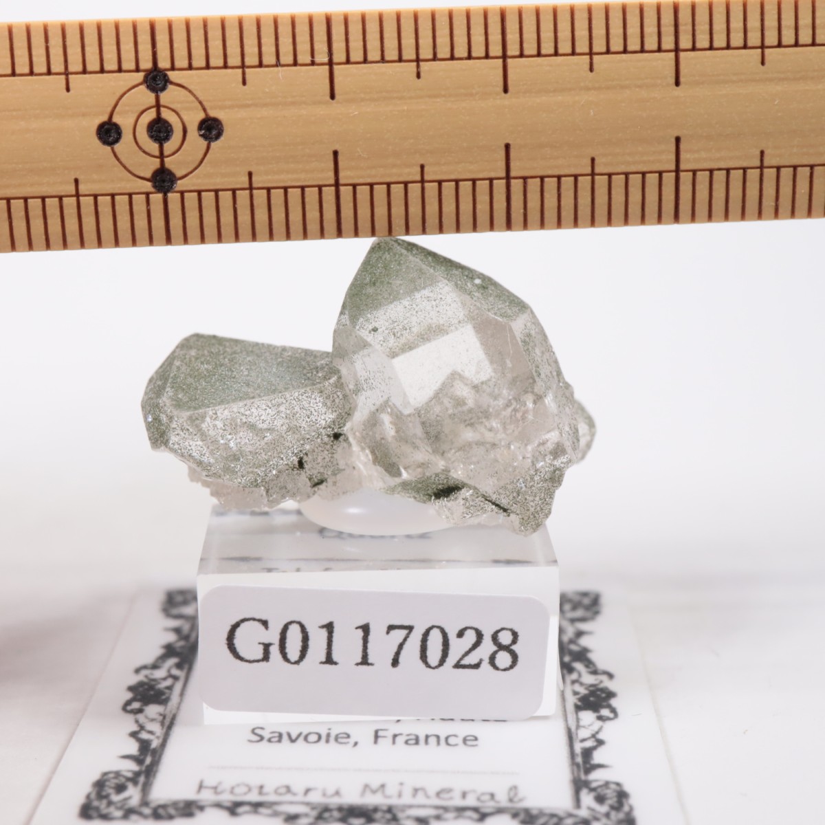 �ե�󥹻� ��������