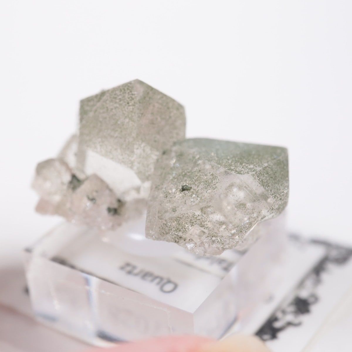 �ե�󥹻� ��������