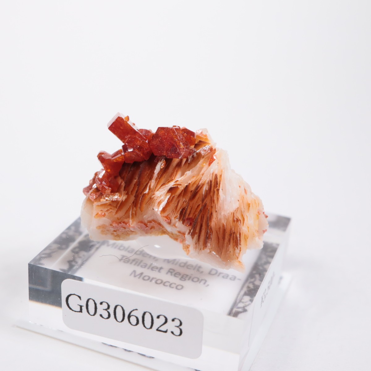 ����å��� �Хʥǥ��ʥ���