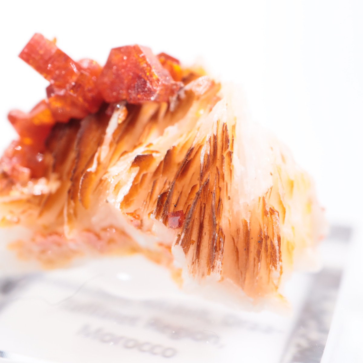 ����å��� �Хʥǥ��ʥ���