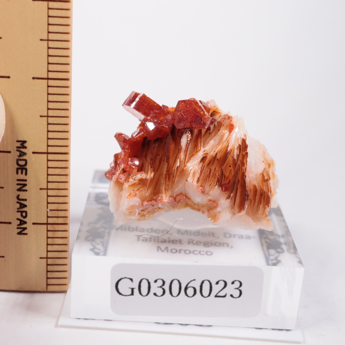 ����å��� �Хʥǥ��ʥ���