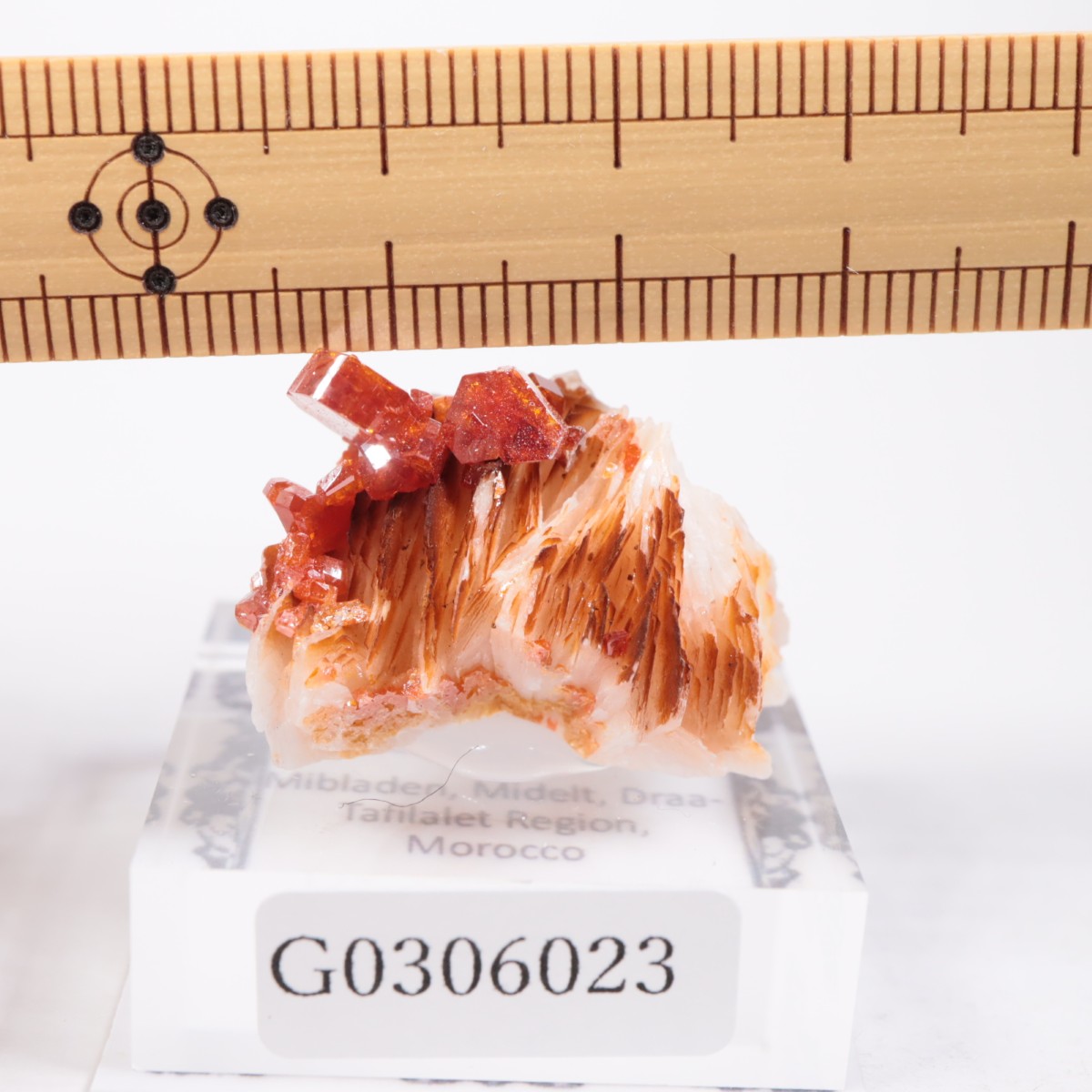 ����å��� �Хʥǥ��ʥ���