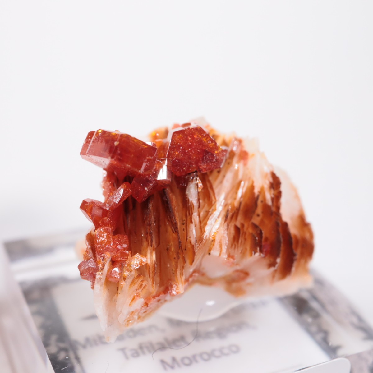 ����å��� �Хʥǥ��ʥ���