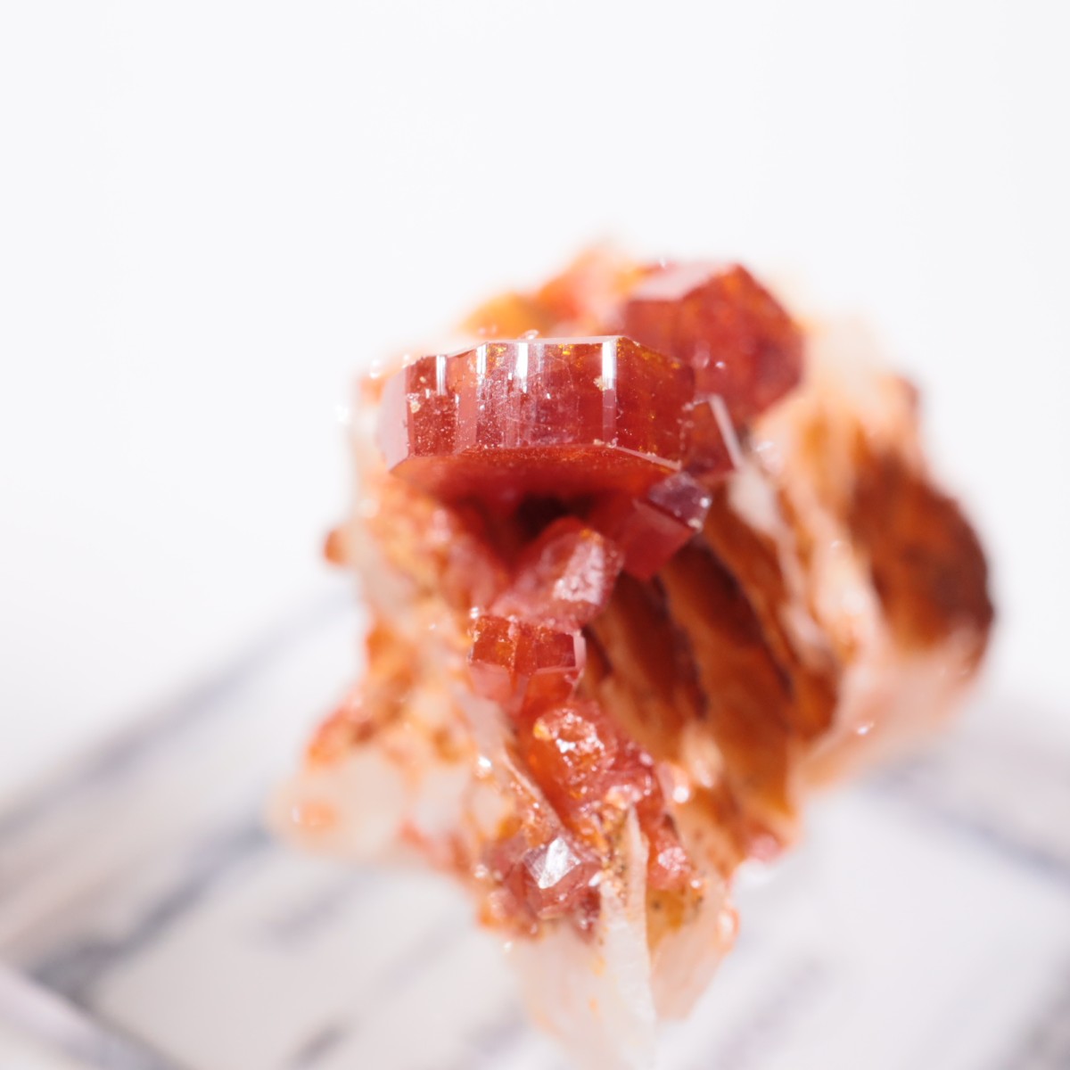 ����å��� �Хʥǥ��ʥ���