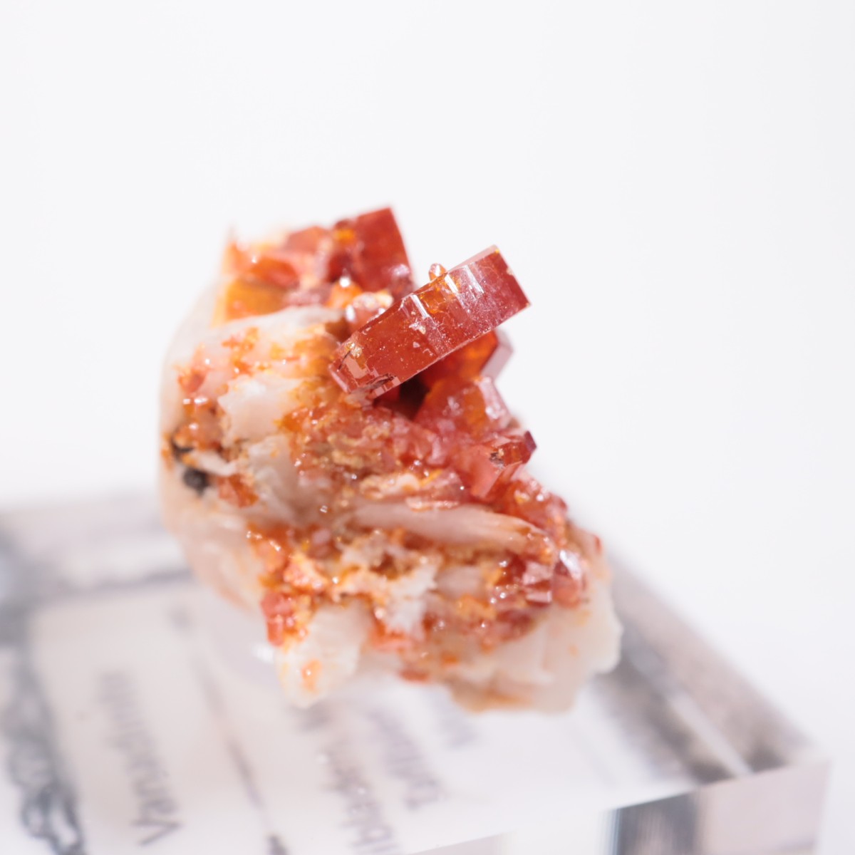 ����å��� �Хʥǥ��ʥ���