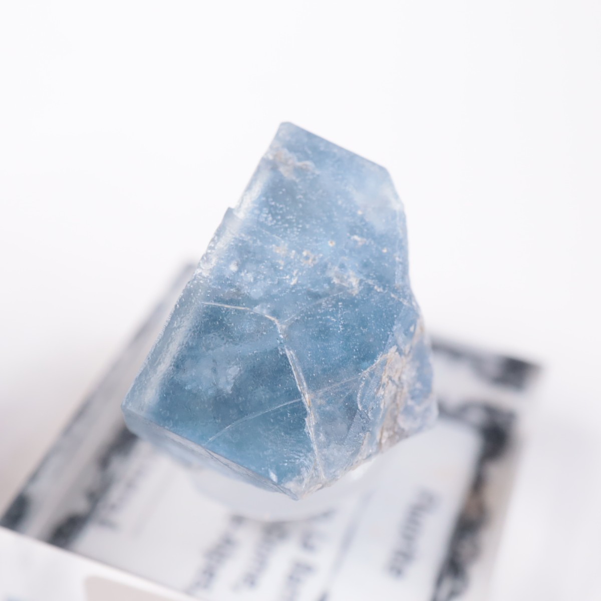 La Barre�ۻ���Outside Vein�˻� �ե����饤��