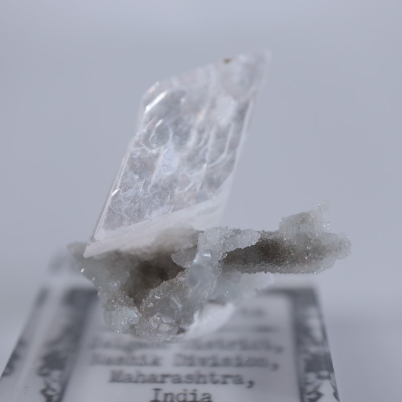 ��ʨ�Сʥҥ塼�������ȡ�