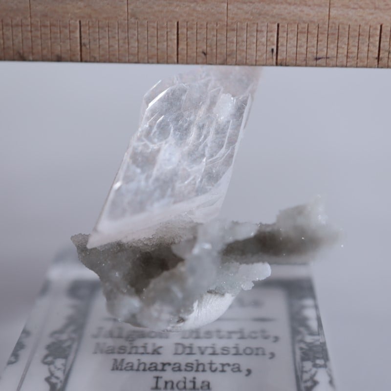 ��ʨ�Сʥҥ塼�������ȡ�