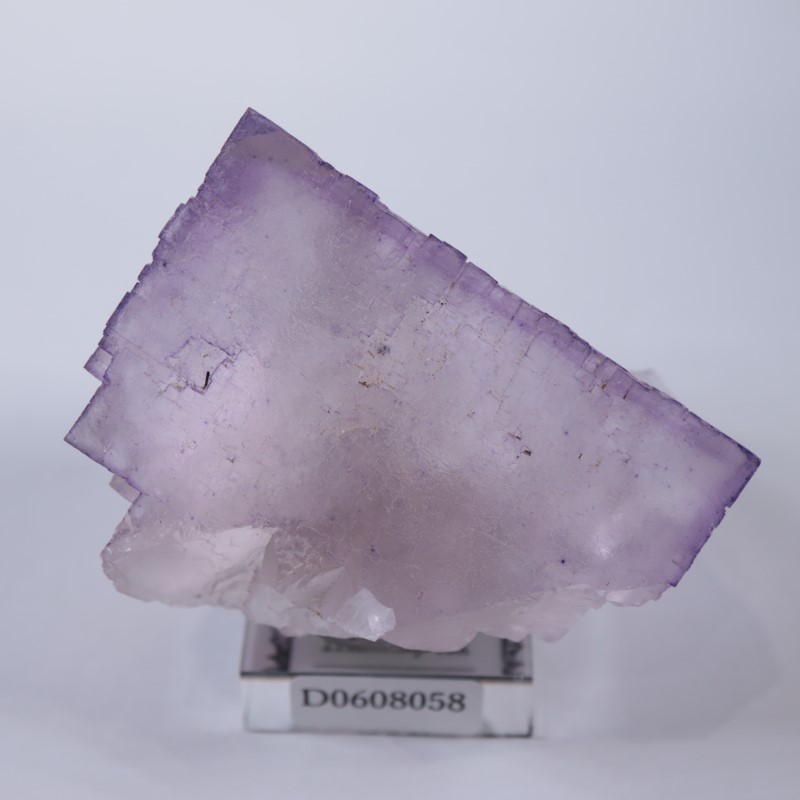 イリノイ州 フローライト | 鉱物標本,ハ行,フローライト/蛍石,フロー