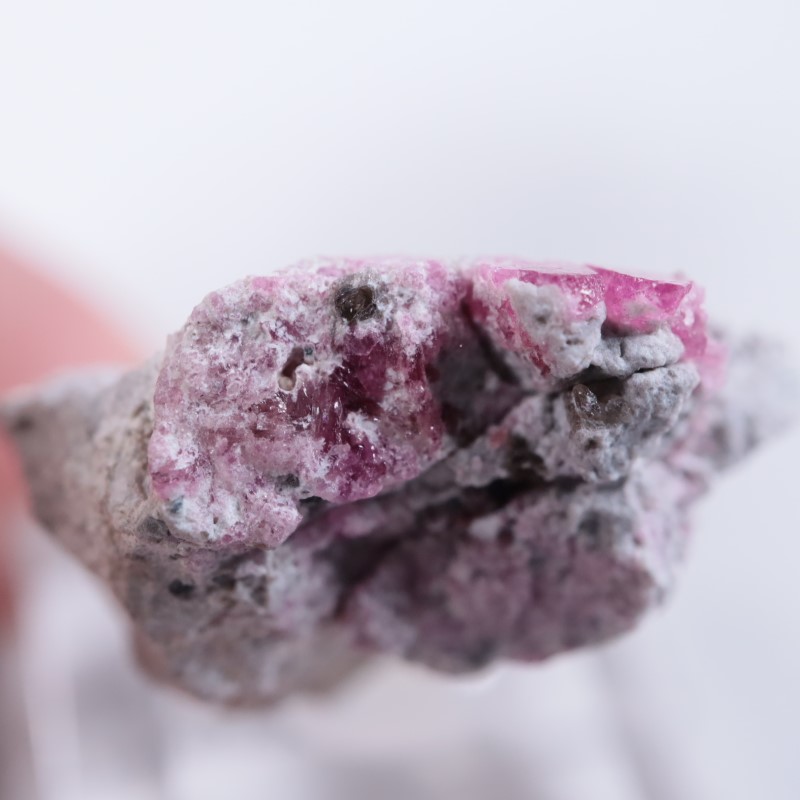 Ruby Violet Claim������åɥ٥��