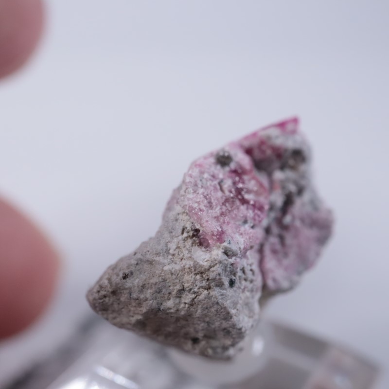 Ruby Violet Claim������åɥ٥��