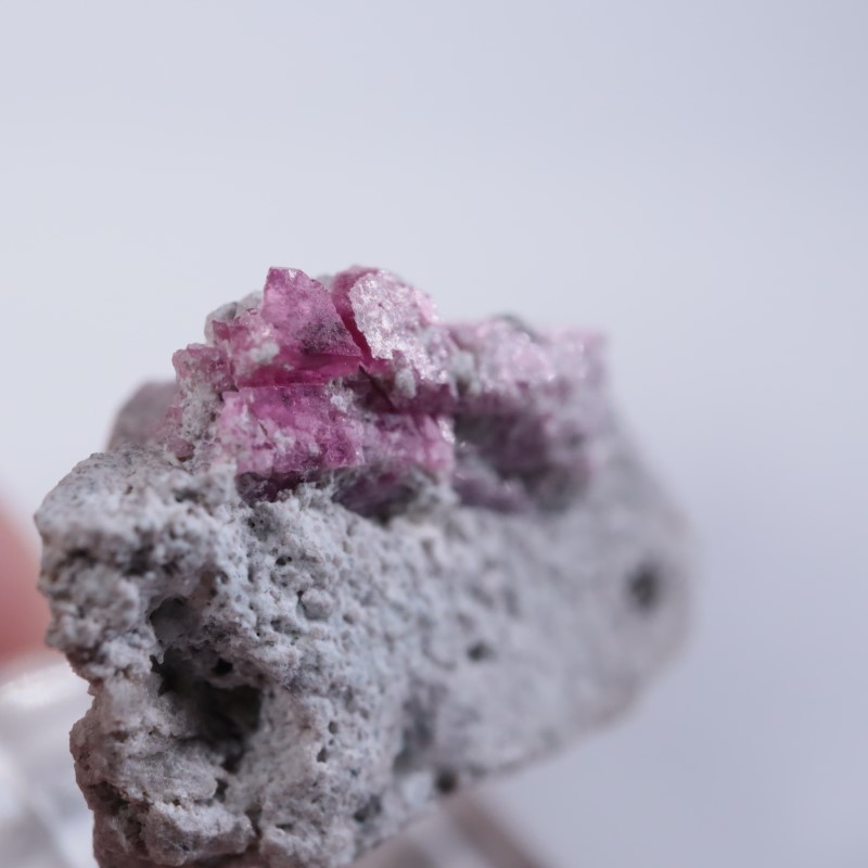 Ruby Violet Claim������åɥ٥��